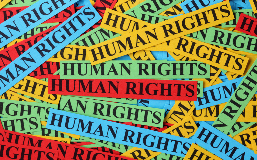 Today is the International Human Rights Day!