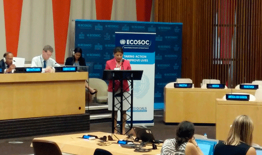 Laura Chinchilla at the ECOSOC: “We believe in societies that are not owned by one sector but belong to everyone”