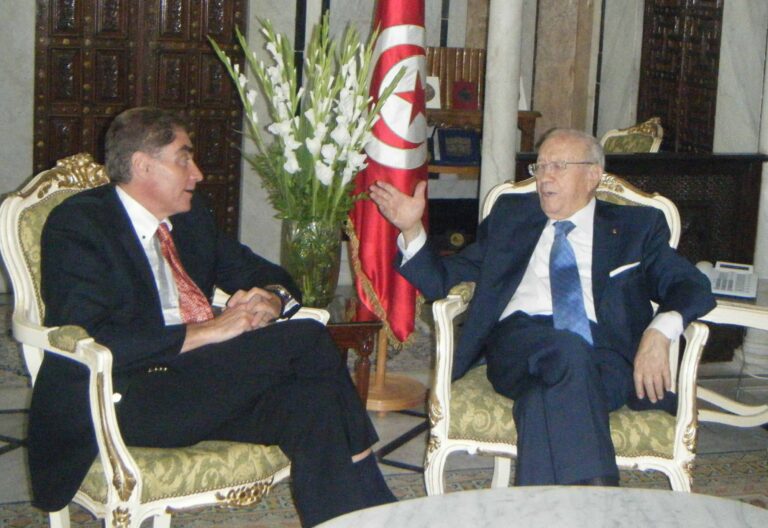 Petre Roman Meets with Tunisian Prime Minister to Support Democratic, Peaceful and Inclusive Transition