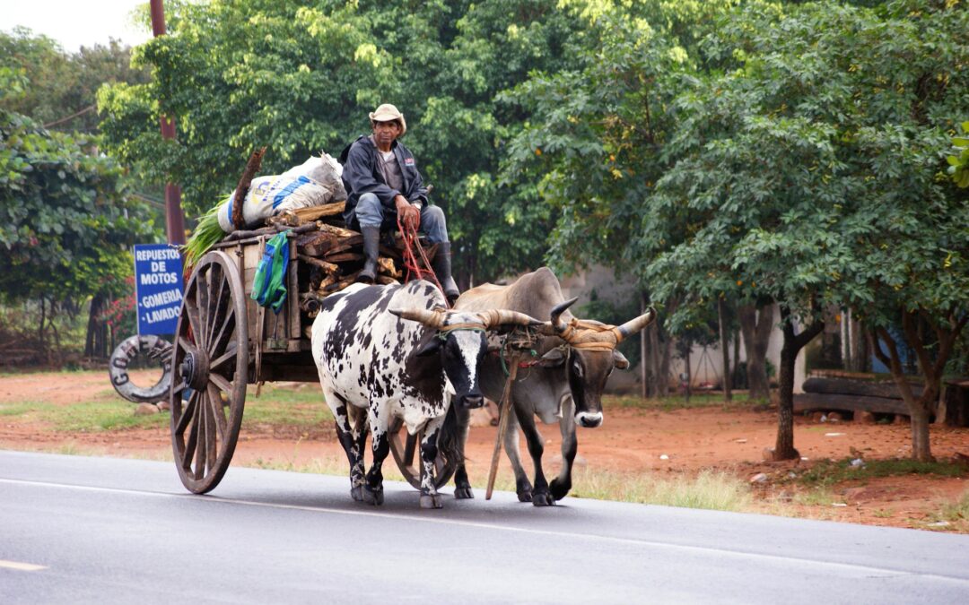 Objetivos de Desarrollo Sostenible en Paraguay – Sustainable Development Goals in Paraguay